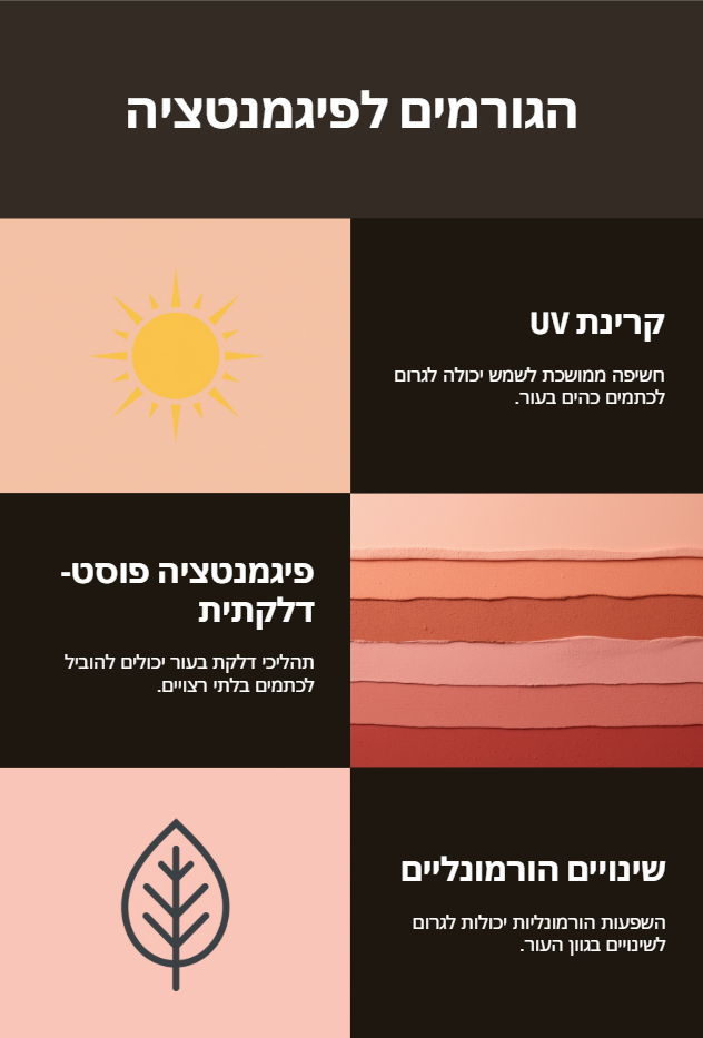 אינפוגרפיקה הגורמים לפיגמנטציה